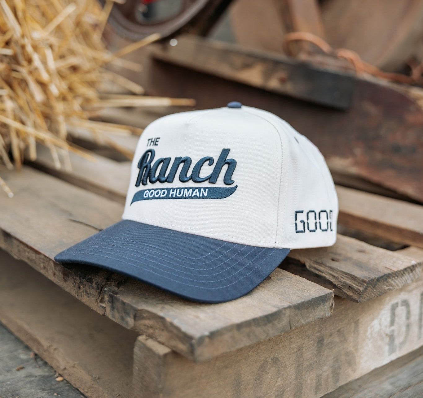 The Ranch | Good Human Ribbon Hat