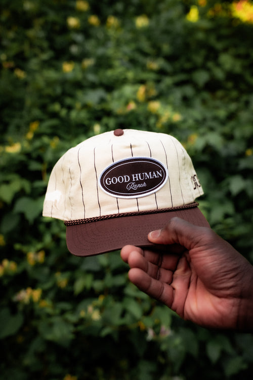 Good Human Pinstripe Hat
