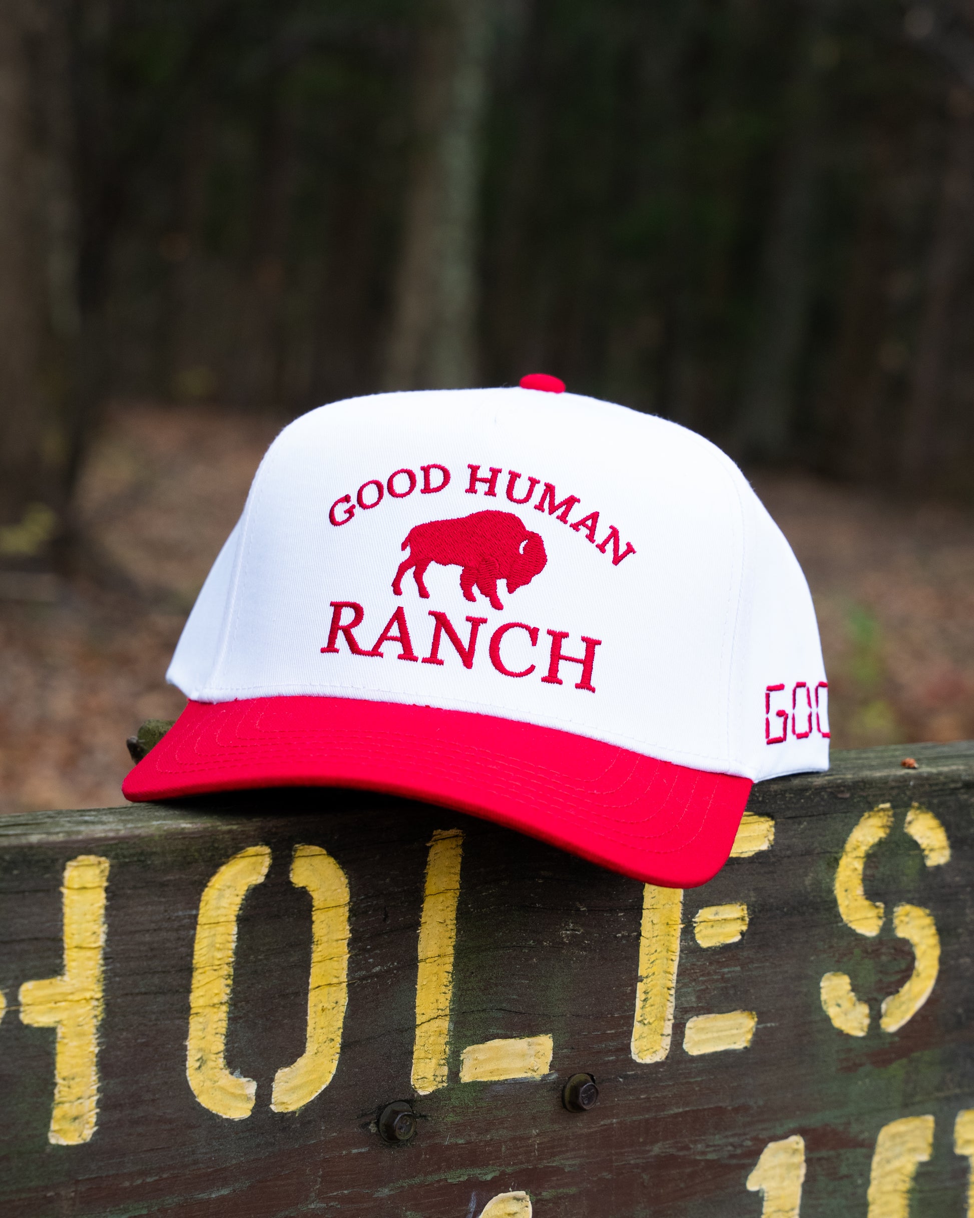 Good Human Ranch Classic Hat