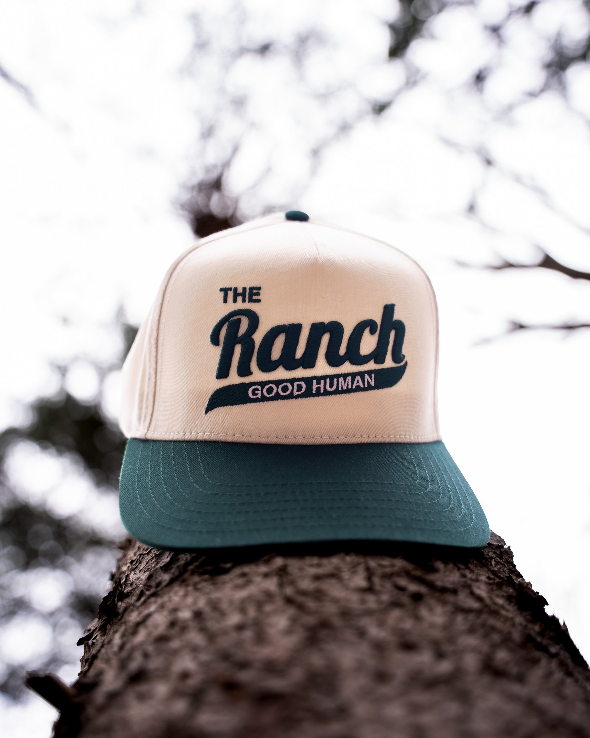The Ranch | Good Human Ribbon Hat